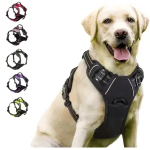 peitoral ajustável para cães