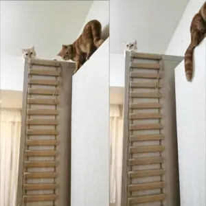 escada para gatos de madeira e sisal