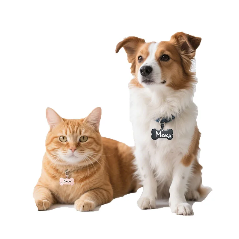 Chaveiro Coleira para Cães e Gatos com Etiqueta de Identificação - Imagem 5