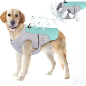 colete refrescante para cães com arnês