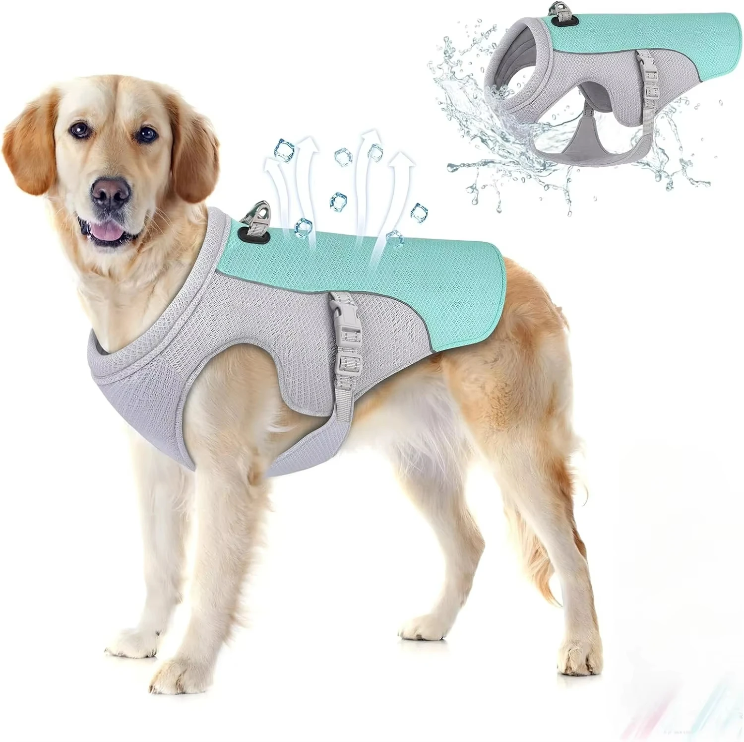 colete refrescante para cães com arnês