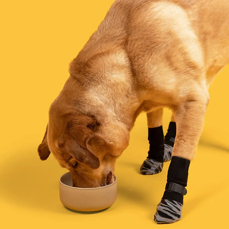 Meias Antiderrapantes para Cães Pequenos 4 Peças com Alças - Image 5