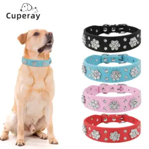 coleira para gatos e cães pequenos