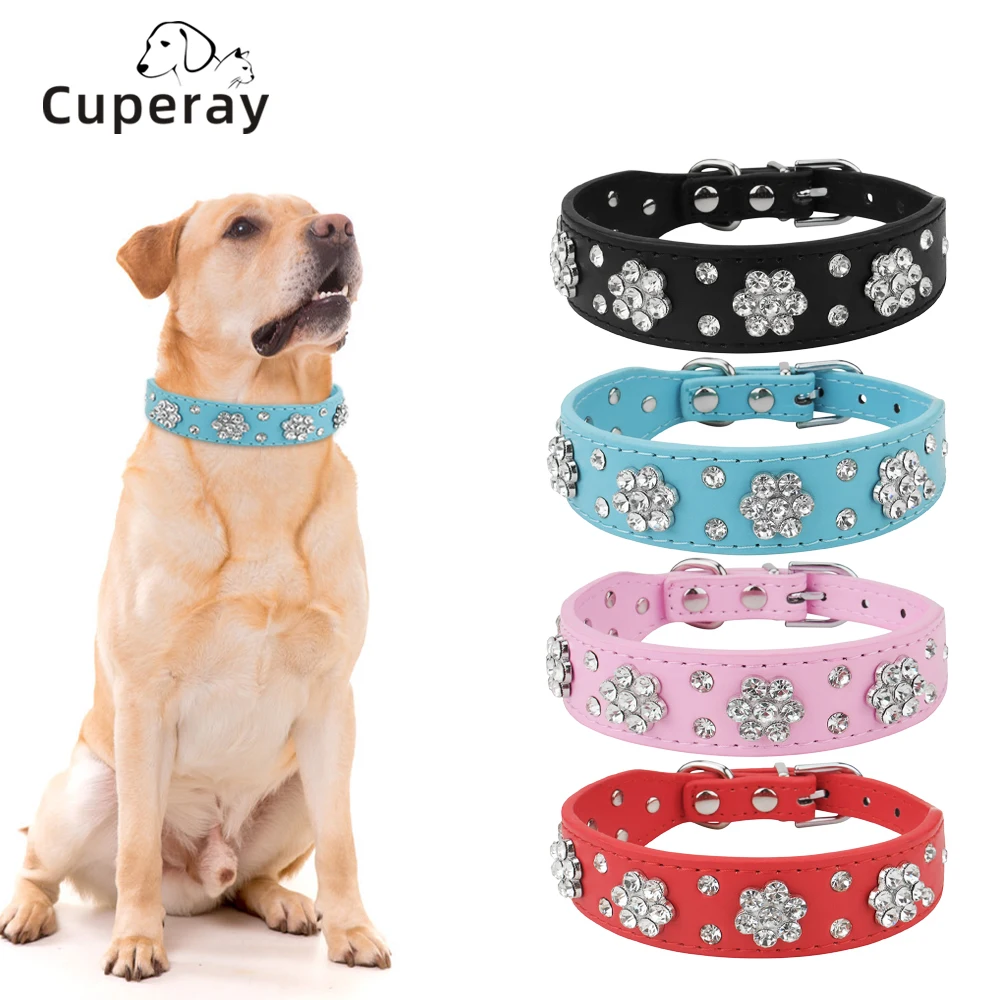 coleira para gatos e cães pequenos