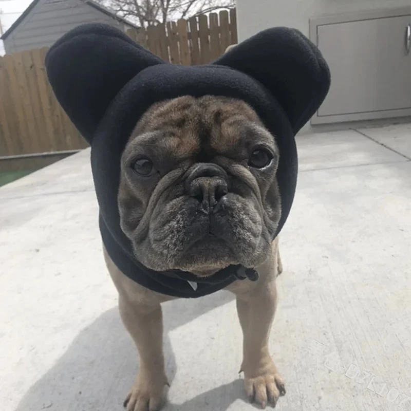 Chapéu de Morcego para Cães Ajustável em Lã - Image 5