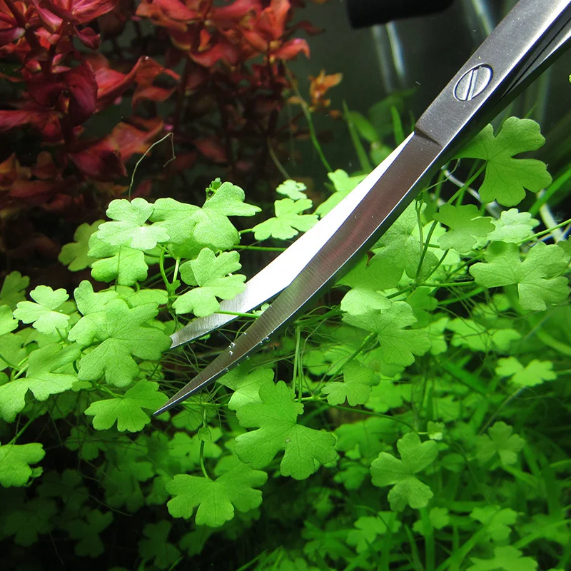 Tesoura para Aquário de Aço Inoxidável 25 cm Reta para Podar Plantas - Imagem 3