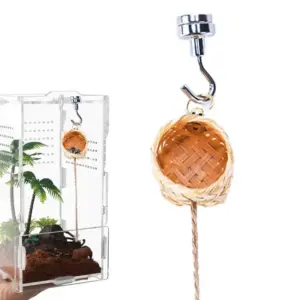 abrigo para aranhas de salto