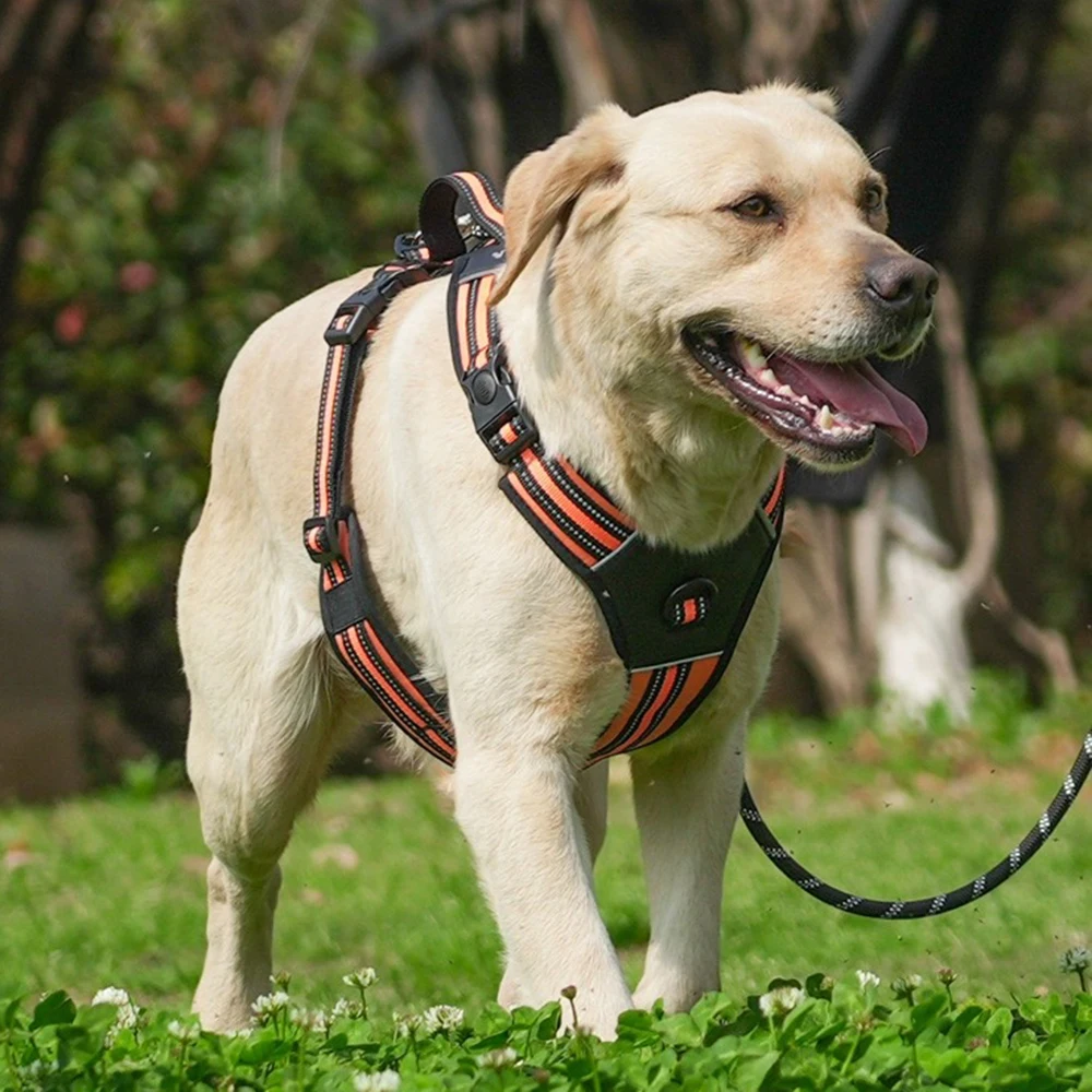 Colete Arnês para Cães Grandes Durável para Passeio - Image 4