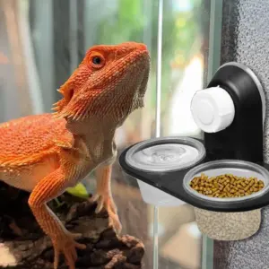 dispensador de água e comida para répteis