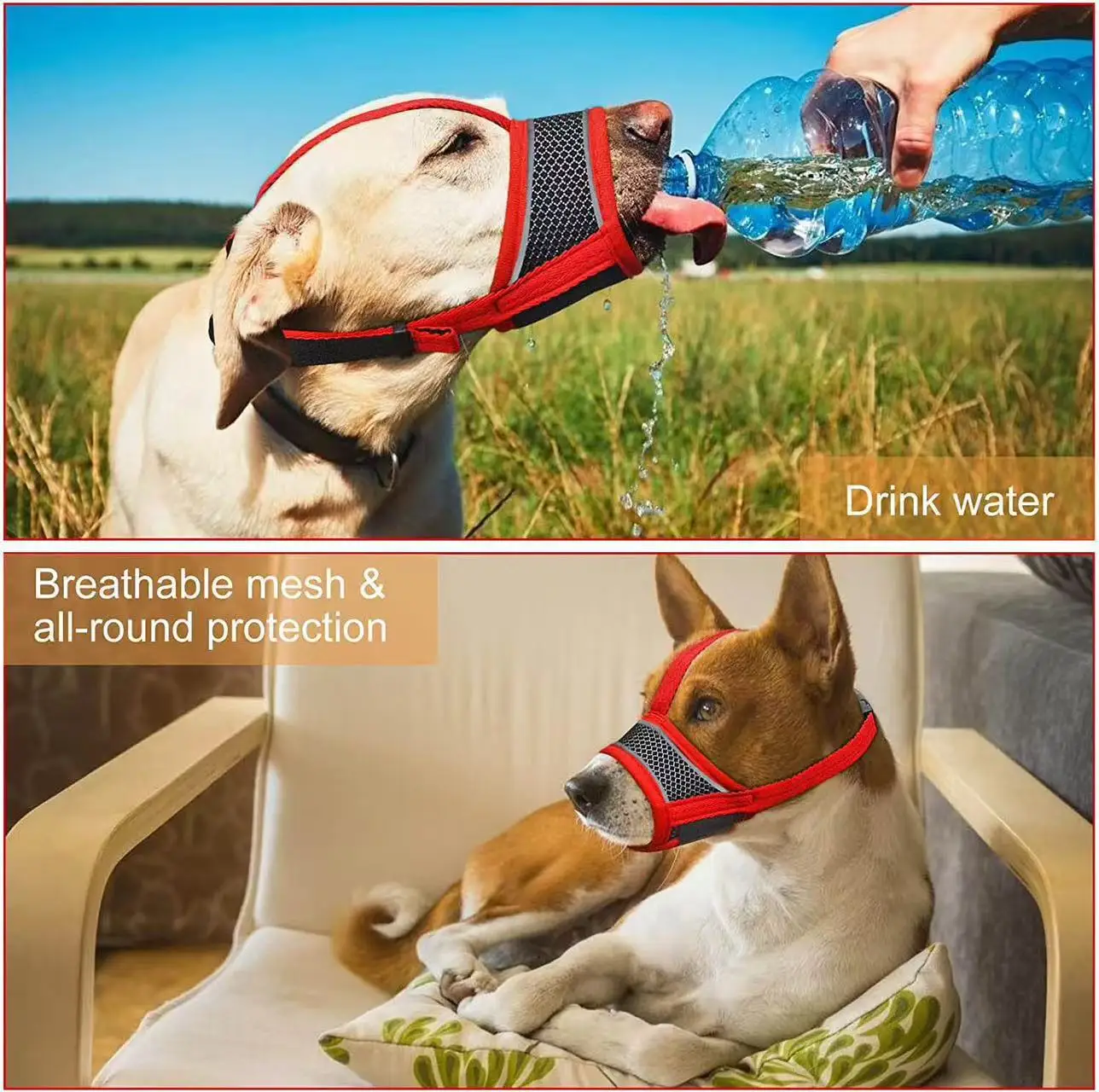 Focinho de Malha para Cães com Alça Ajustável e Refletiva - Imagem 2