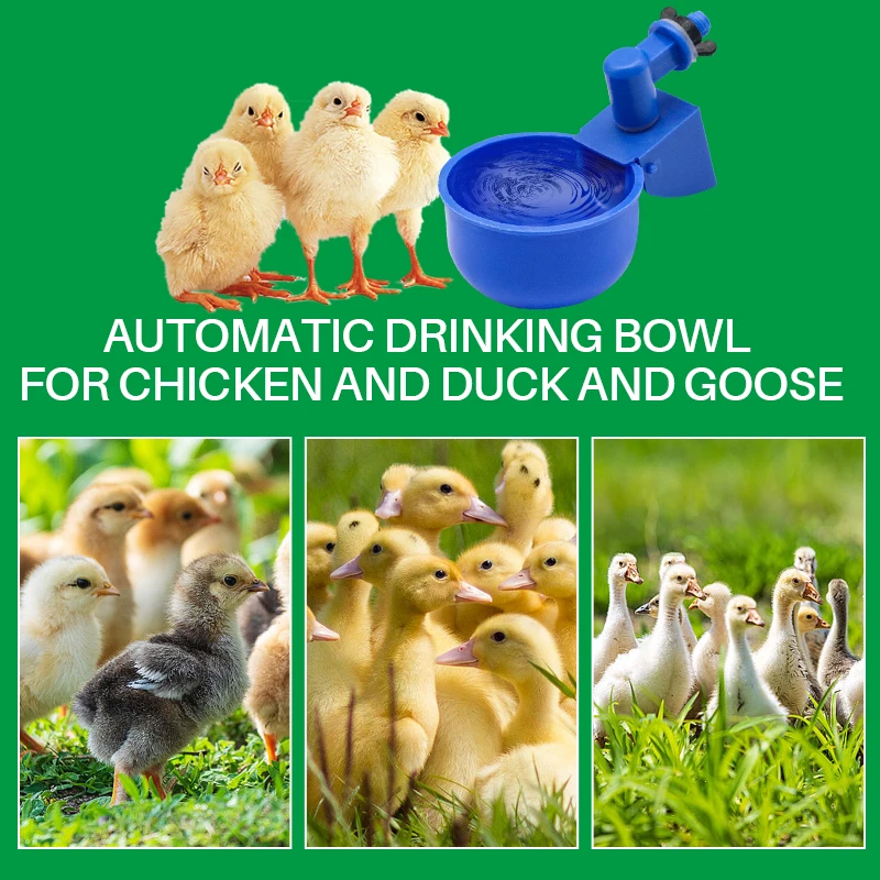 Copo Bebedouro Automático para Aves com 5 Peças - Imagem 6