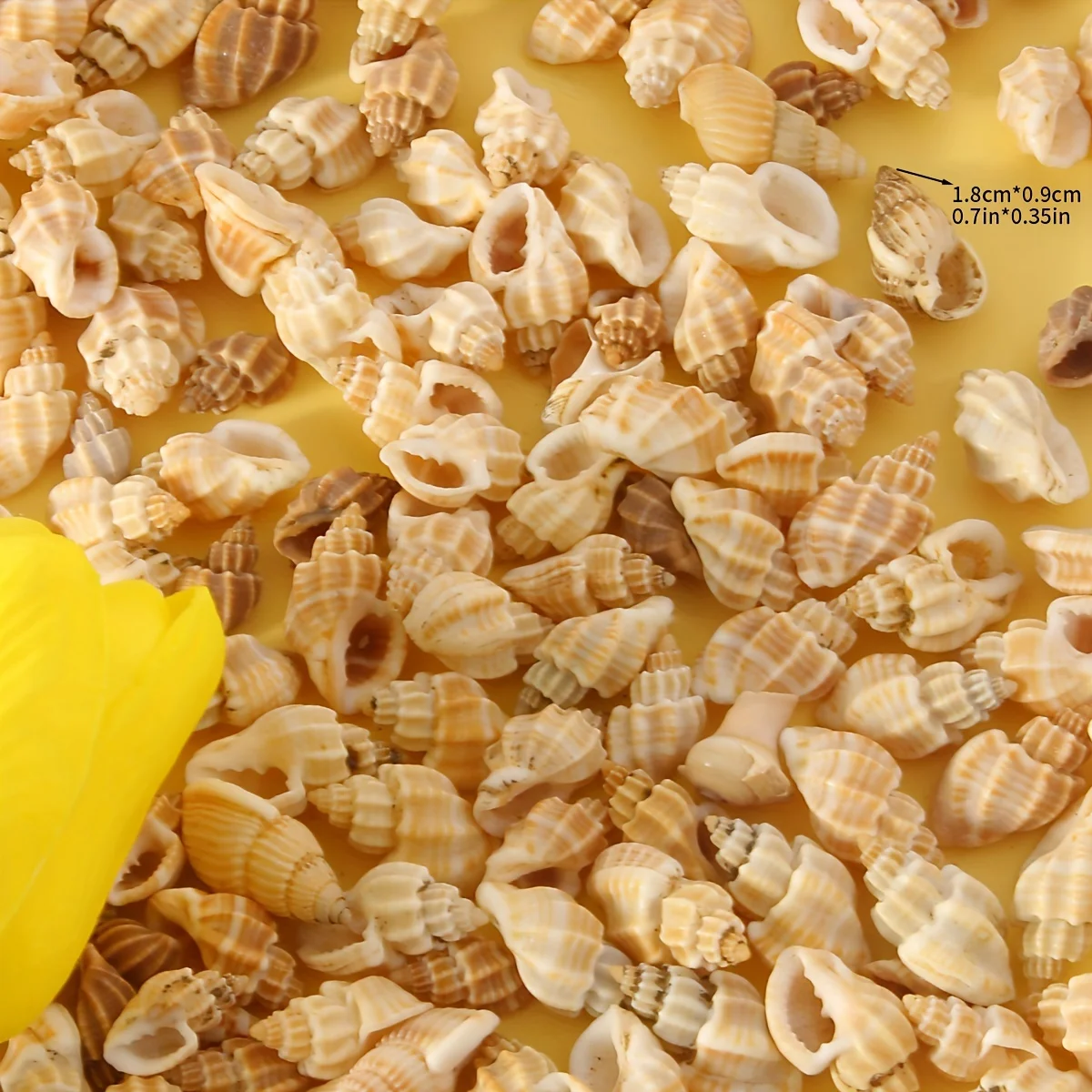 Conchas Naturais Amarelas para Aquário de Tartarugas 50g - Image 3