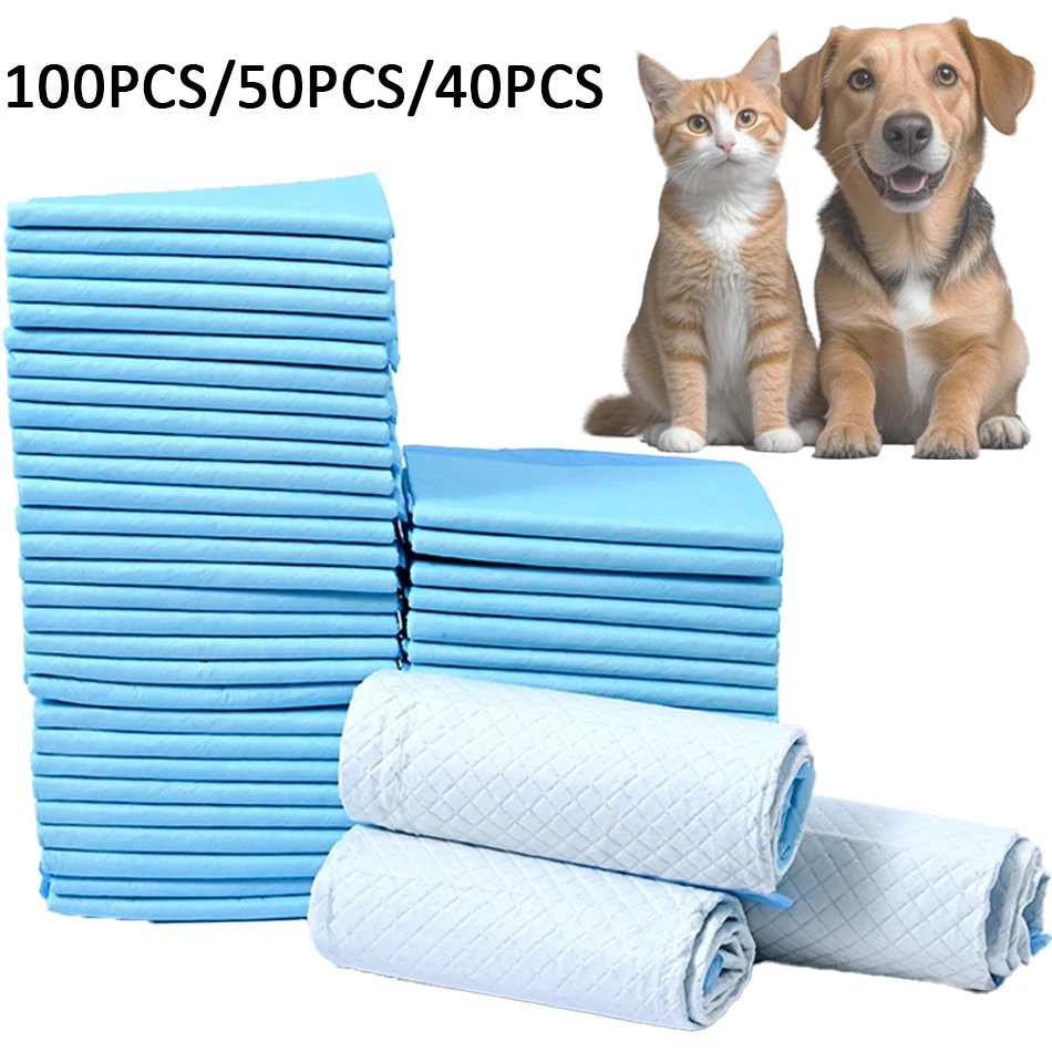 fralda absorvente para cães