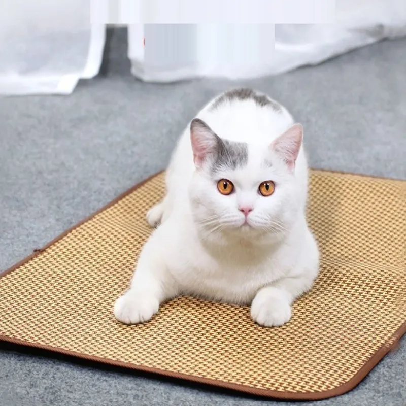 Esteira de Resfriamento para Cães e Gatos Extra Grande - Imagem 2