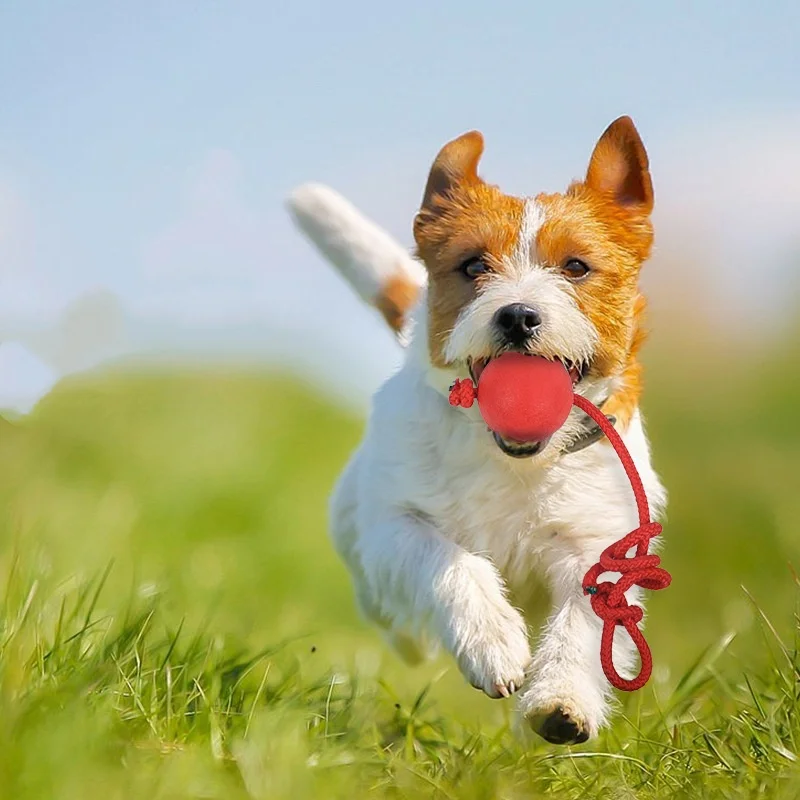 Bola de Borracha Sólida com Corda para Cães, Brinquedo de Puxar - Imagem 3