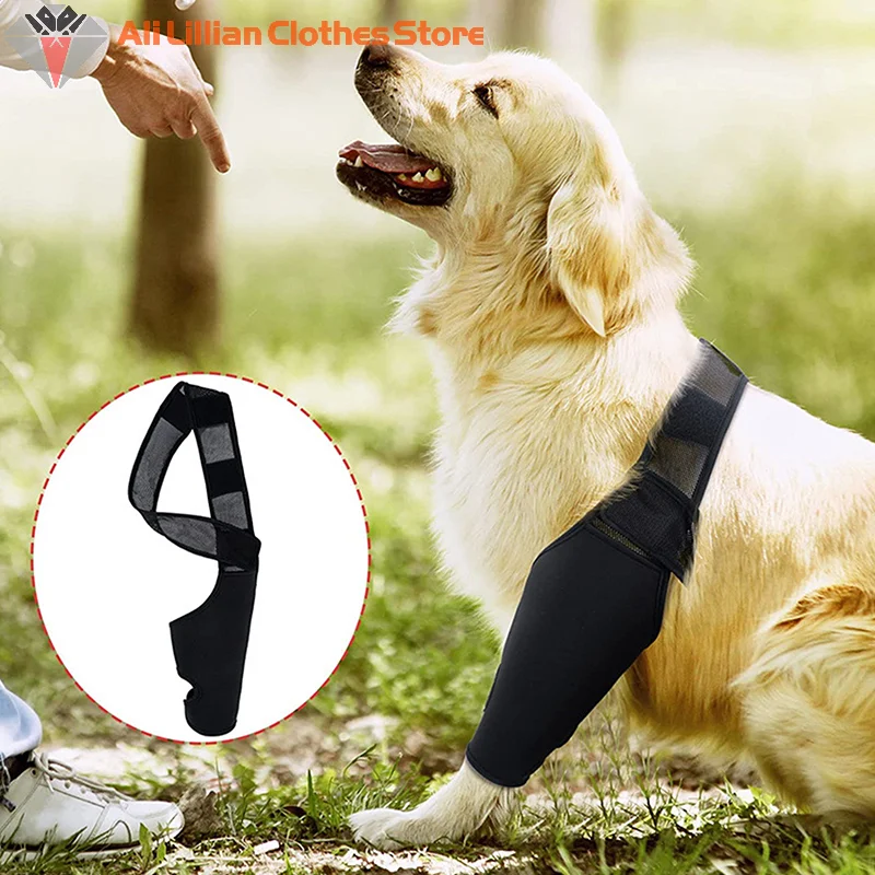 Joelheira para Cães de Neoprene com Adesivos Mágicos Ajustáveis - Image 2