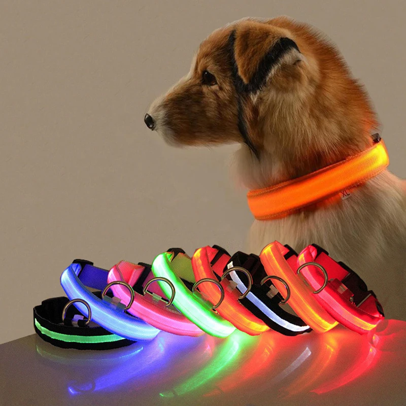 Coleira LED para Cães Recarregável USB e Anti-Perda - Imagem 2