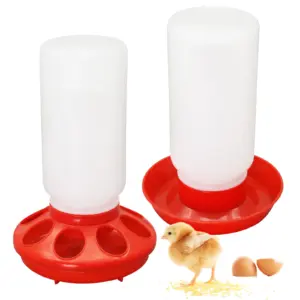 bebedouro e comedouro para aves automático