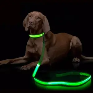 coleira e guia LED para cães