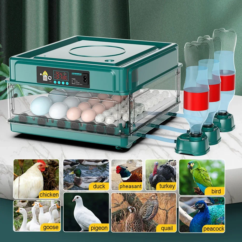 Incubadora de Ovos Automática para Aves com Viragem e Ovoscópio - Imagem 6