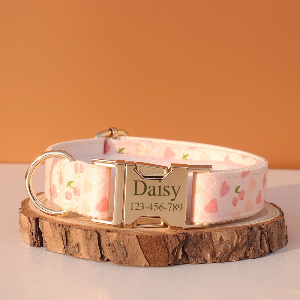 Coleira de Identificação para Cães Personalizável com Nome e Telefone - Image 4
