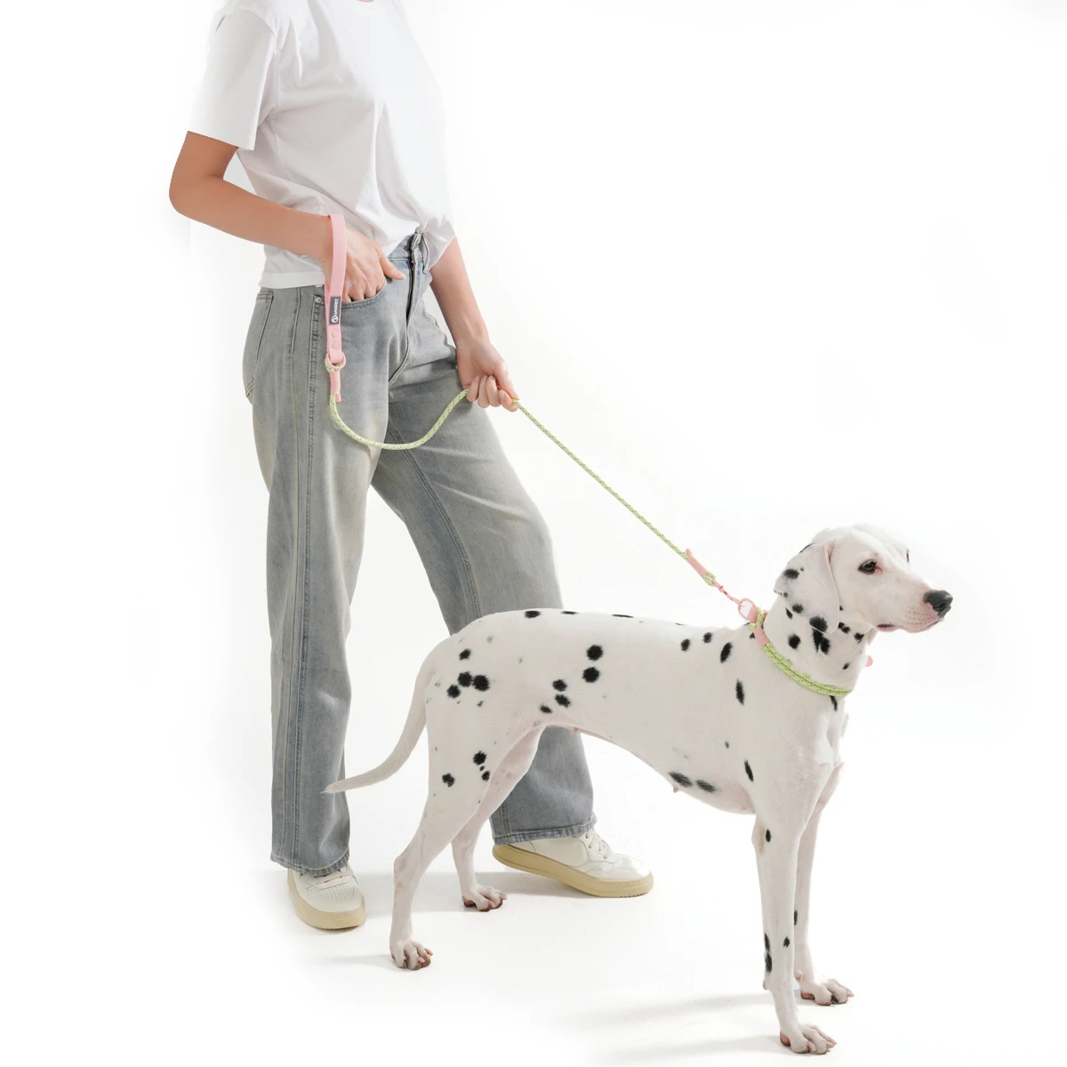 Coleira para Cães Pequenos e Médios de PVC Biothane e Nylon Refletivo - Image 2