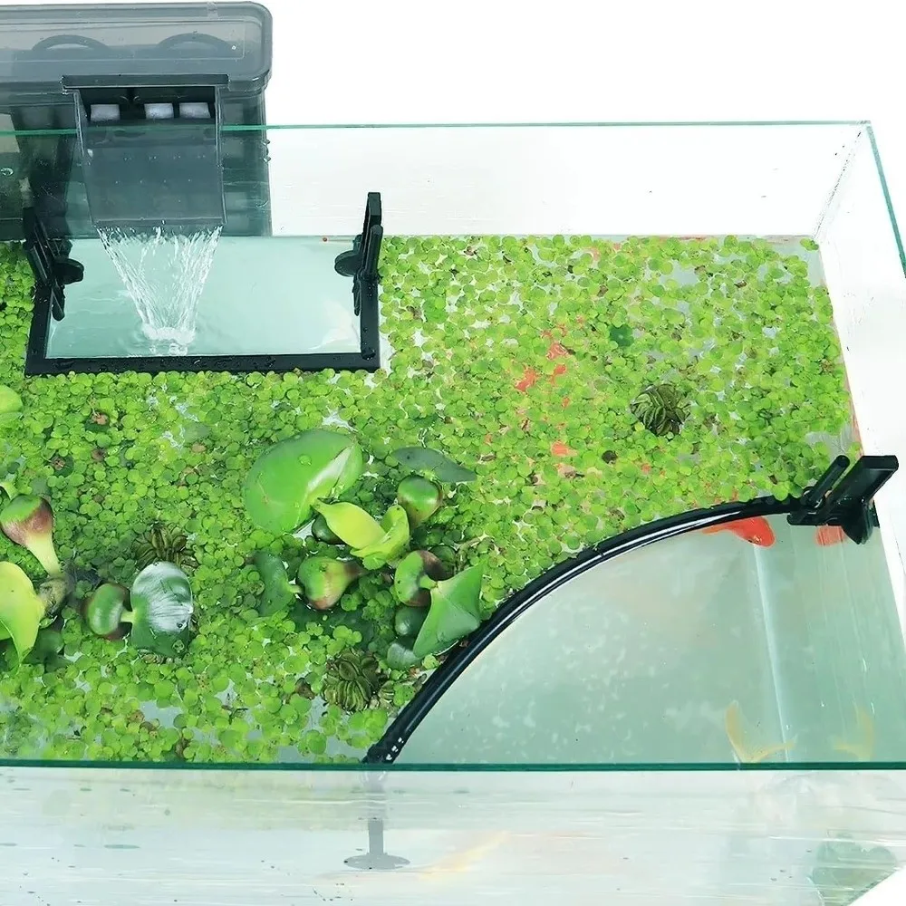 Anel Flutuante para Aquário com Alimentador Anti-dispersão - Image 3