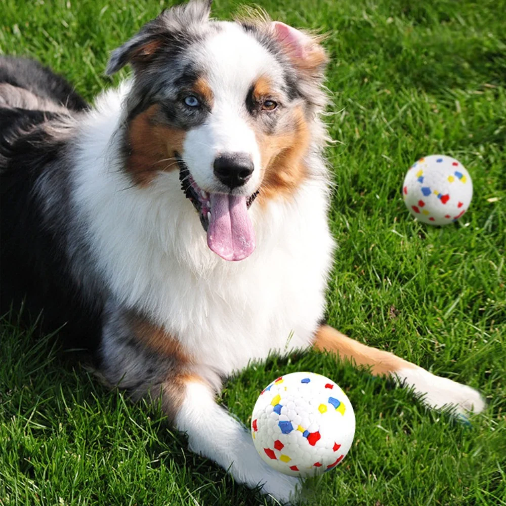 Bola EPTU para Cães de Porte Médio Resistente a Mordidas - Imagem 3