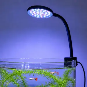luminária LED USB para aquário com clip