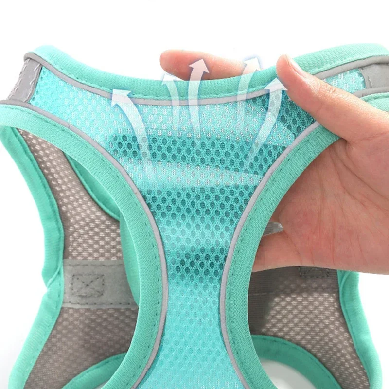 Arnês Ajustável para Cães Pequenos com Coleira para Passeio - Imagem 5