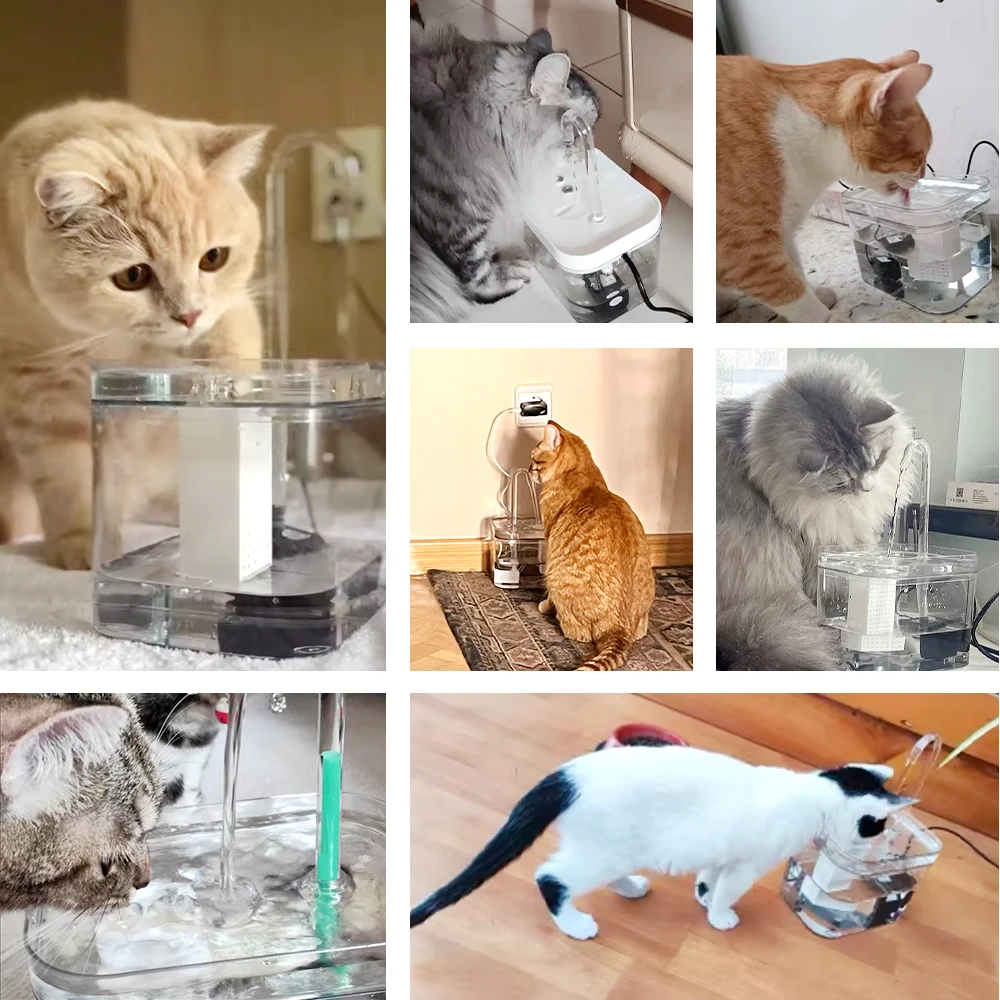 Fonte de Água para Gatos 1,5 L Transparente com 3 Modos de Fluxo - Imagem 3