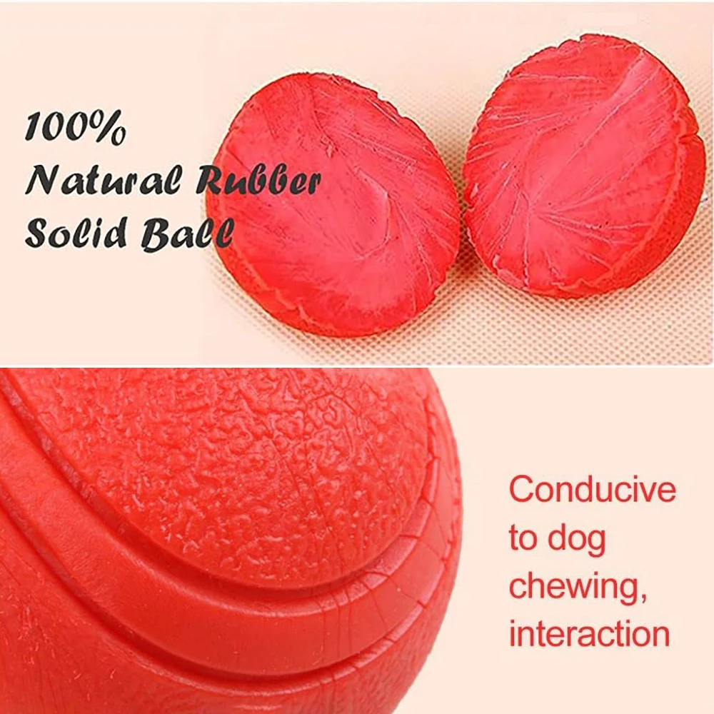 Bola Elástica para Cães e Gatos de Borracha Resistente à Mordida - Image 2