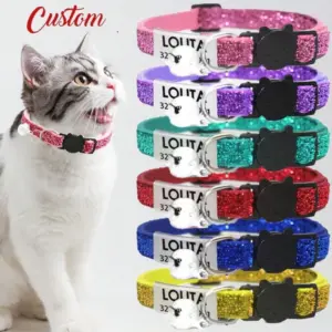 coleira para gato com glitter personalizada