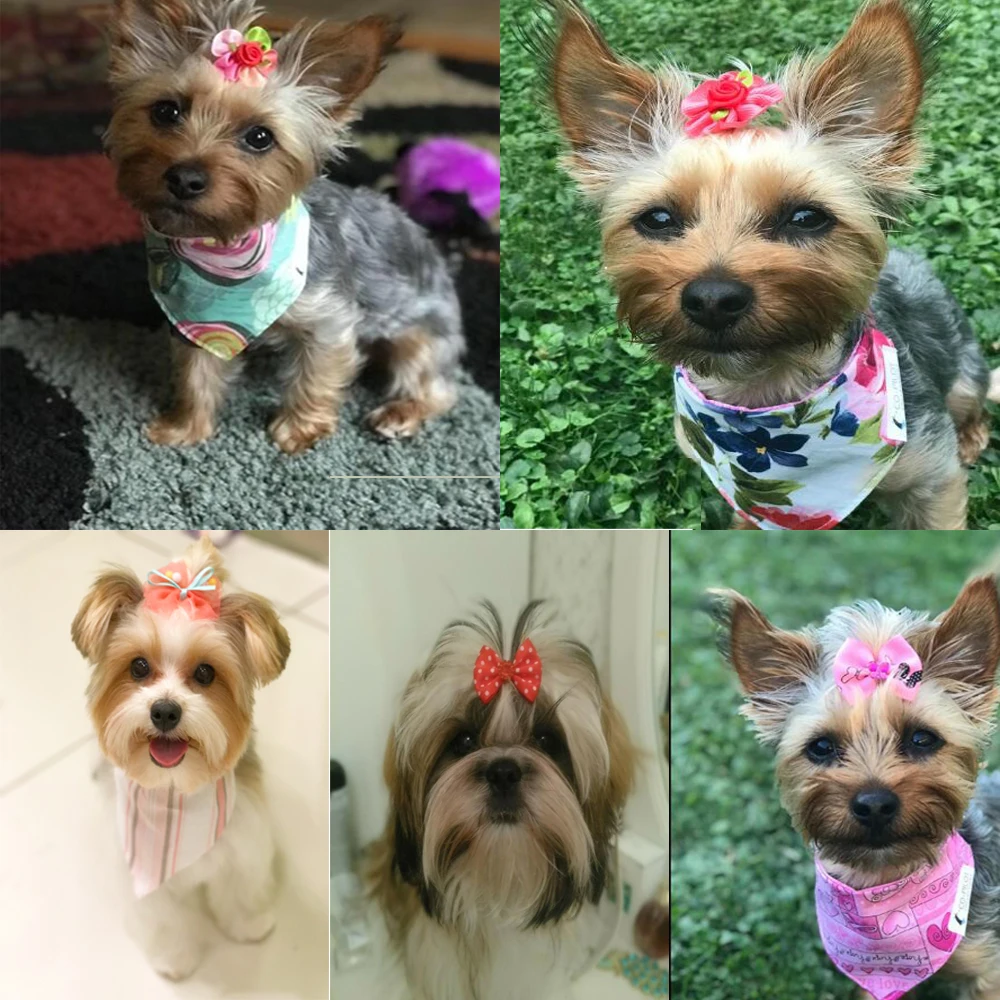 Laços de Cabelo para Cães Pequenos com Diamante Sintético 3-4 cm - Image 2
