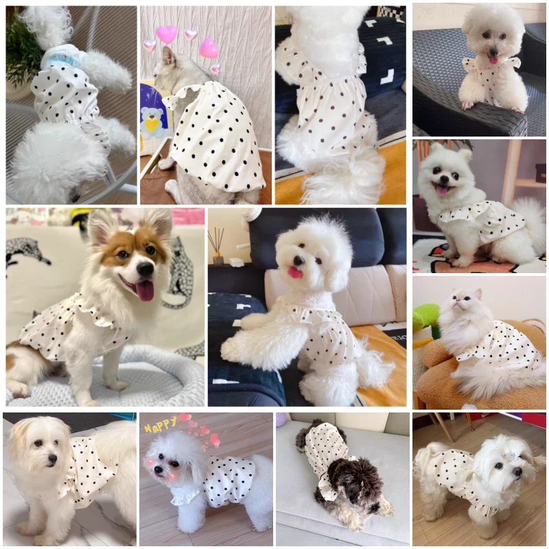 Vestido para Cães e Gatos de Bolinhas em Algodão e Poliéster - Image 2