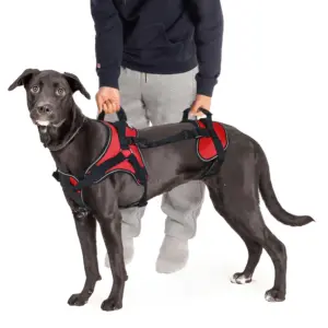 arnês de suporte para cães 3 em 1