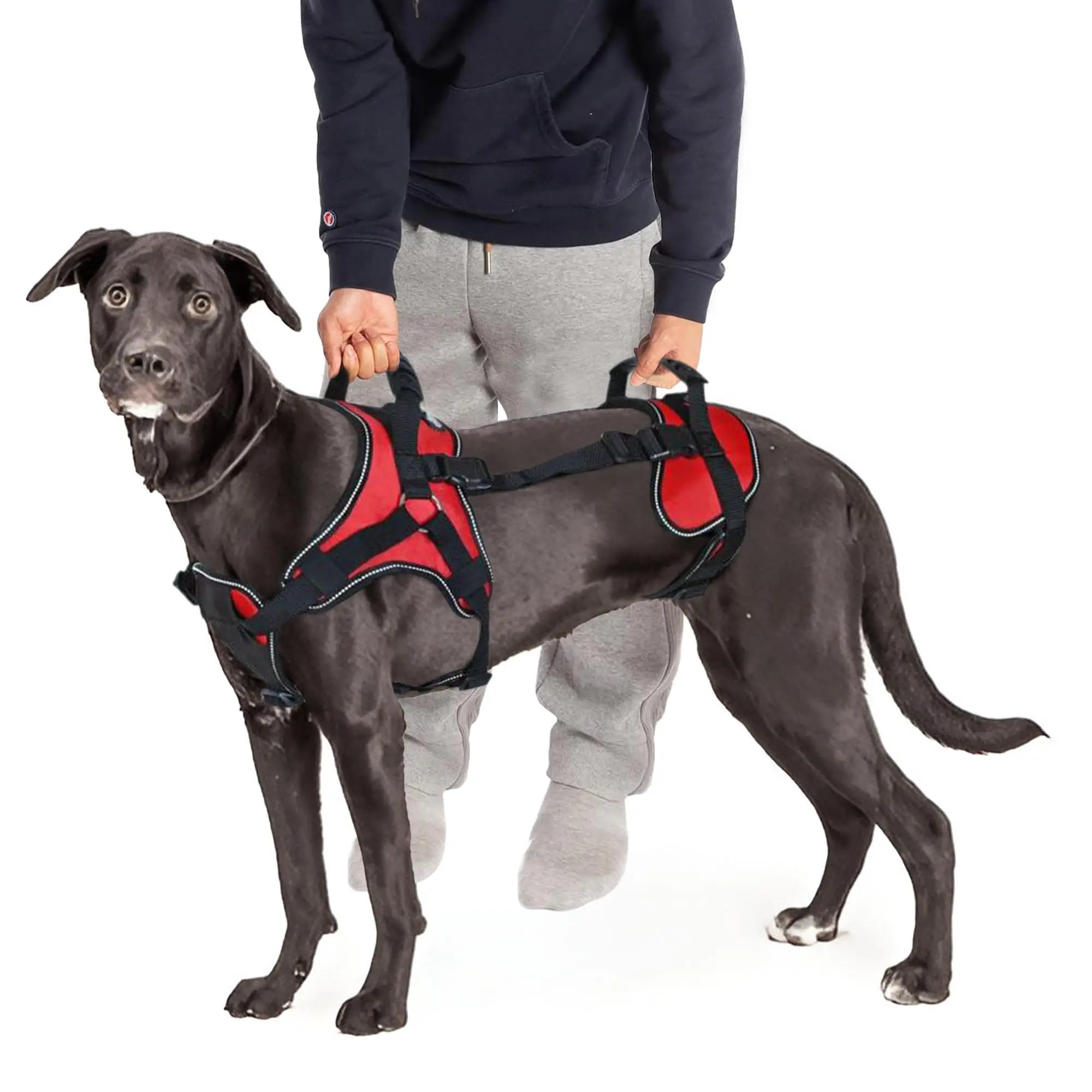 arnês de suporte para cães 3 em 1