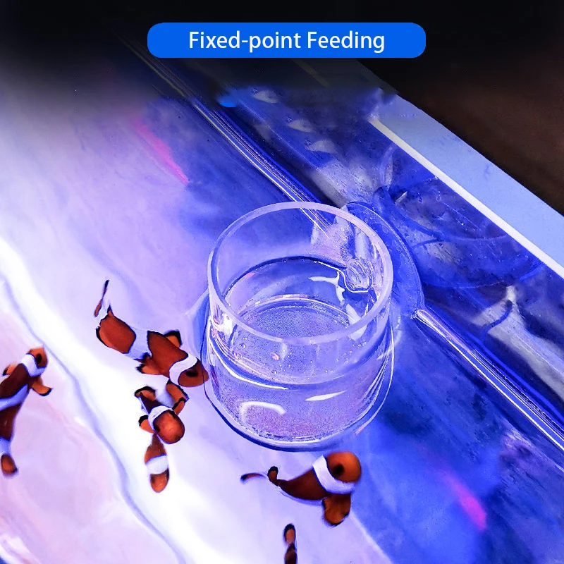 Copo Alimentador para Aquário de Acrílico Transparente com Filtro - Image 5