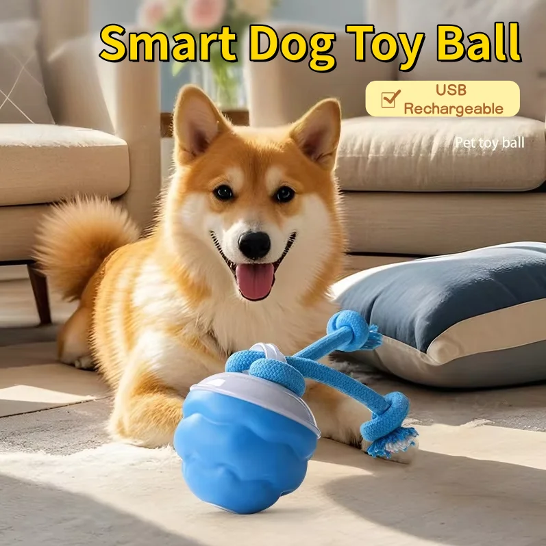 bola interativa para cães recarregável