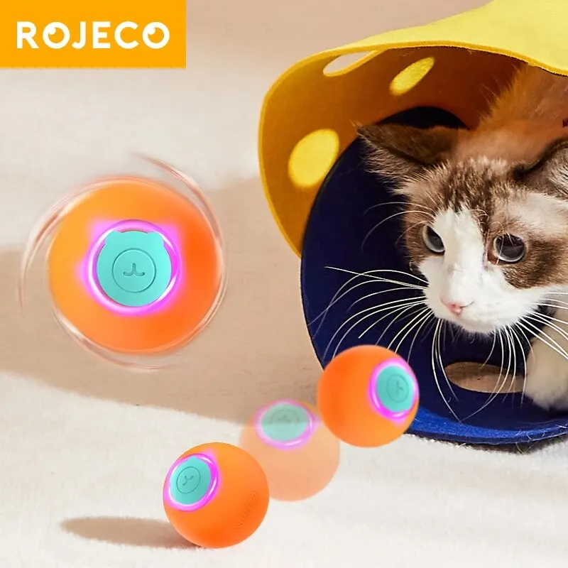 bola interativa para gatos