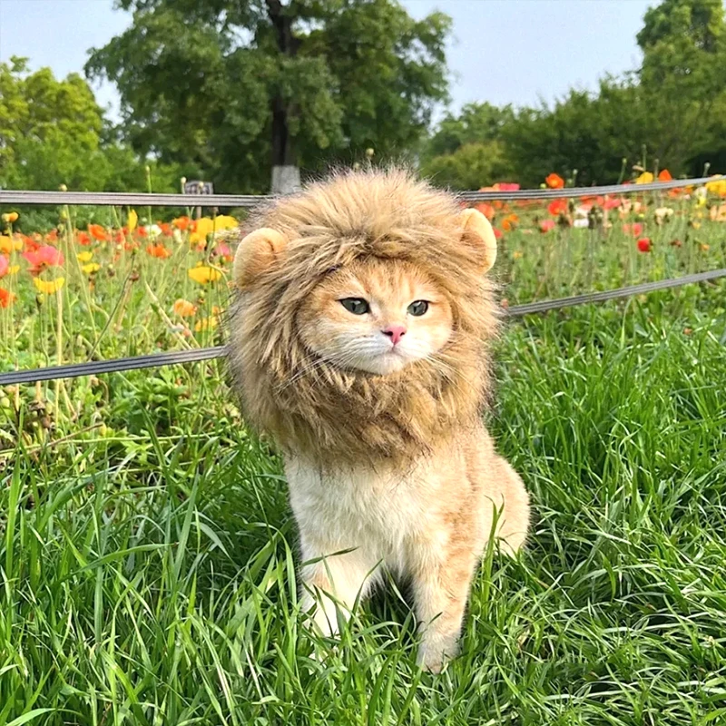 Chapéu de Leão para Gatos e Cães de Poliéster para Fotos - Imagem 3