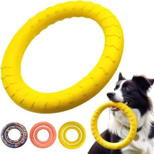 anel de treinamento para cães em eva
