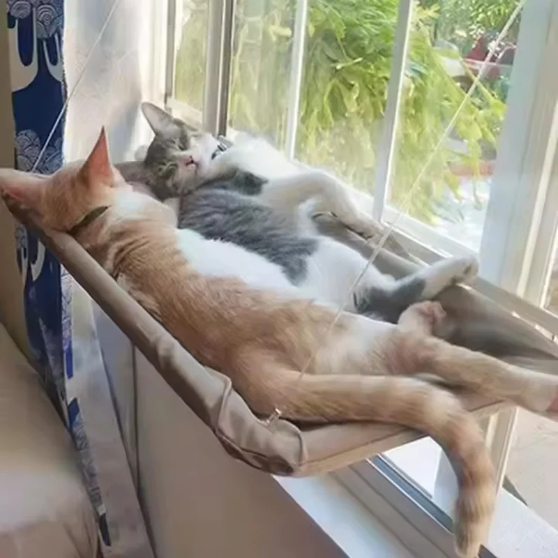 cama de janela para gatos com ventosas