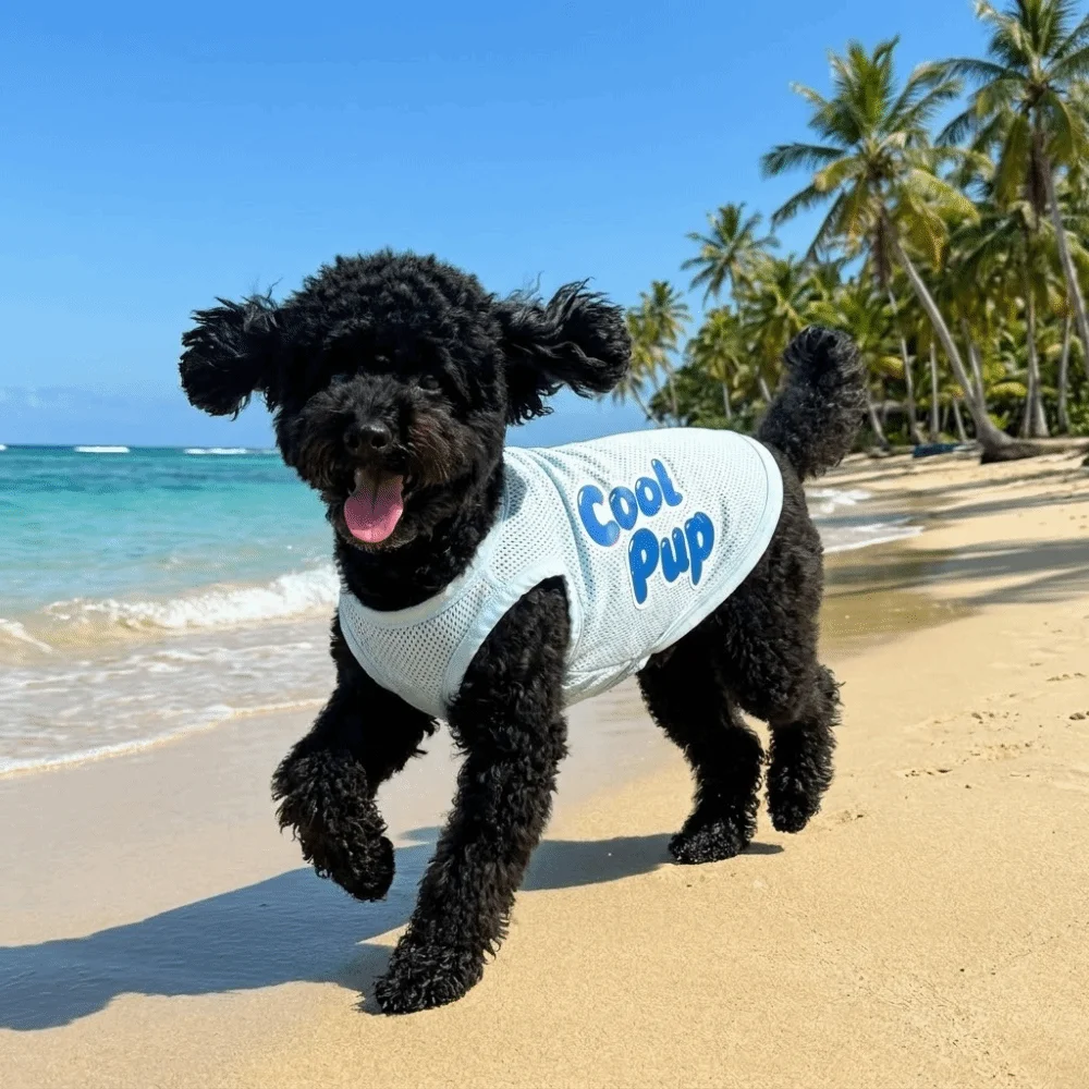 Colete de Malha para Cães em Poliéster Leve e Respirável - Image 5