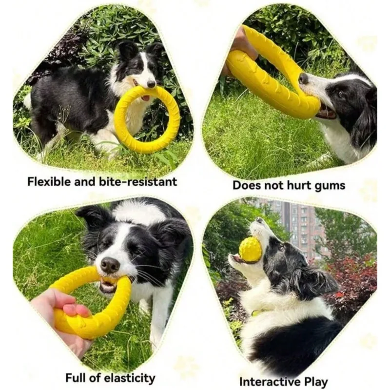 Brinquedo Anel para Cães Pequenos e Médios Flutuante - Imagem 5