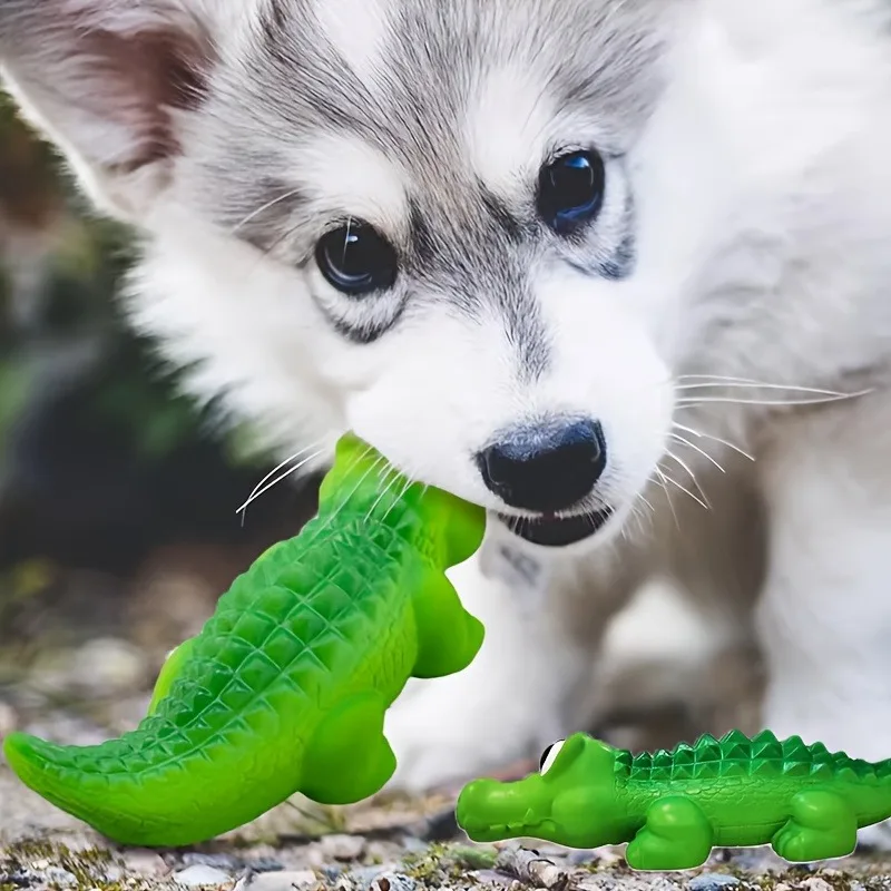 Brinquedo de Látex para Cães com Ruído e Limpador de Dentes - Imagem 6