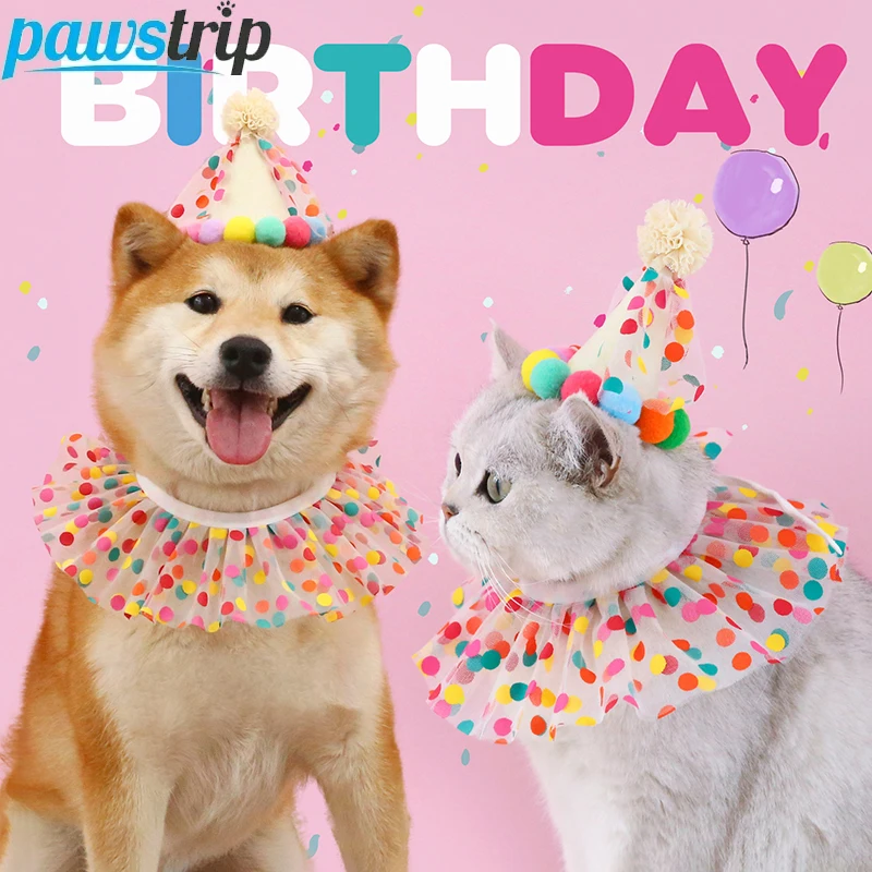 chapéu de aniversário para cães e gatos