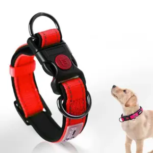 coleira de nylon para cães refletiva
