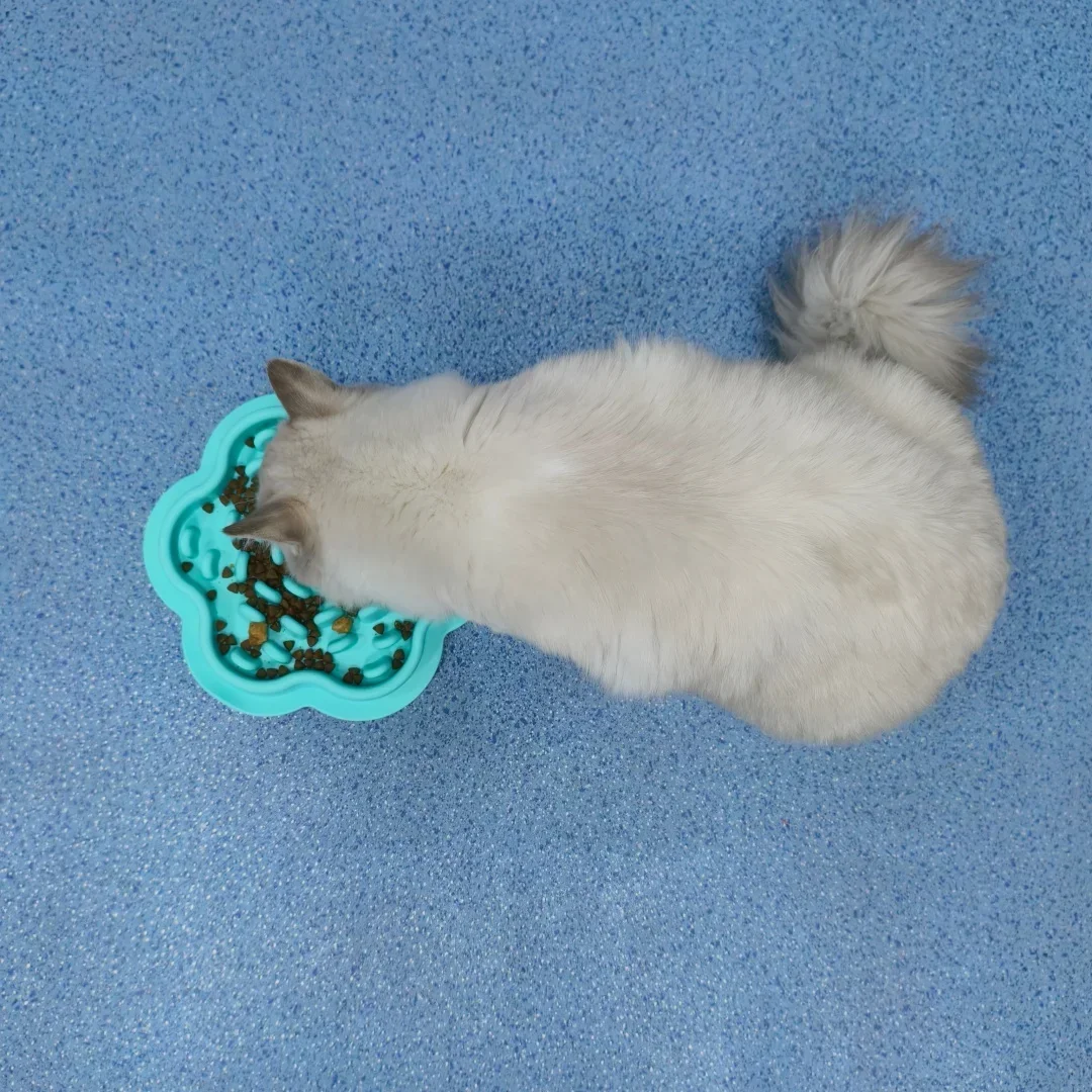 Tigela de Alimentação Lenta para Cães e Gatos de Silicone Comestível Anti-Tombamento - Imagem 4