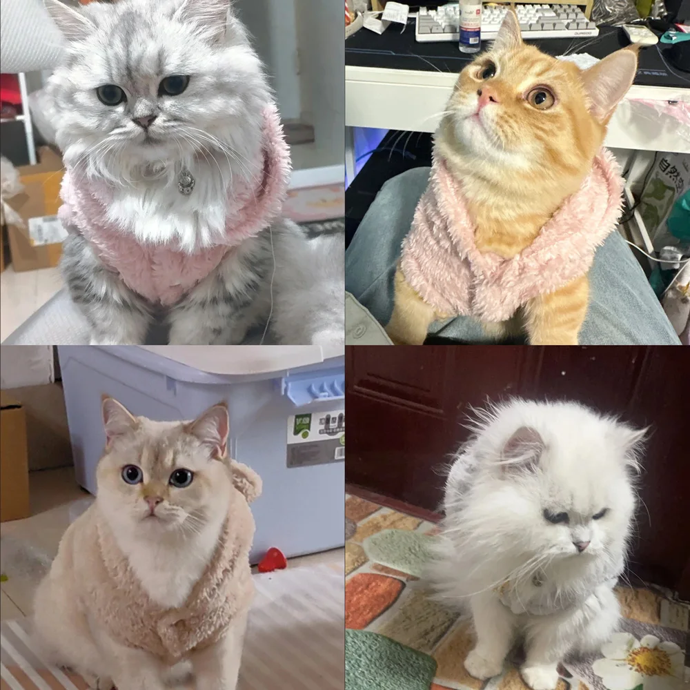 Casaco para Cães e Gatos de Poliéster com Capuz e Orelhas - Imagem 5